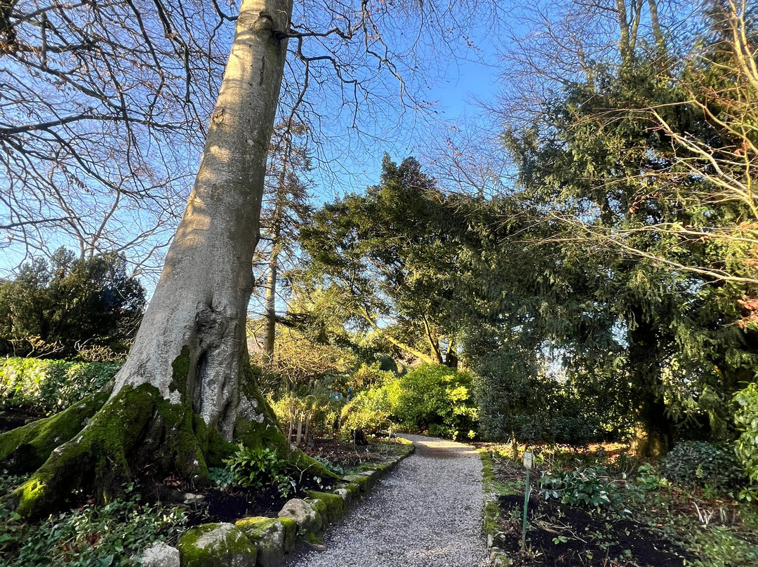 Altamont Gardens-Tullow必去景点