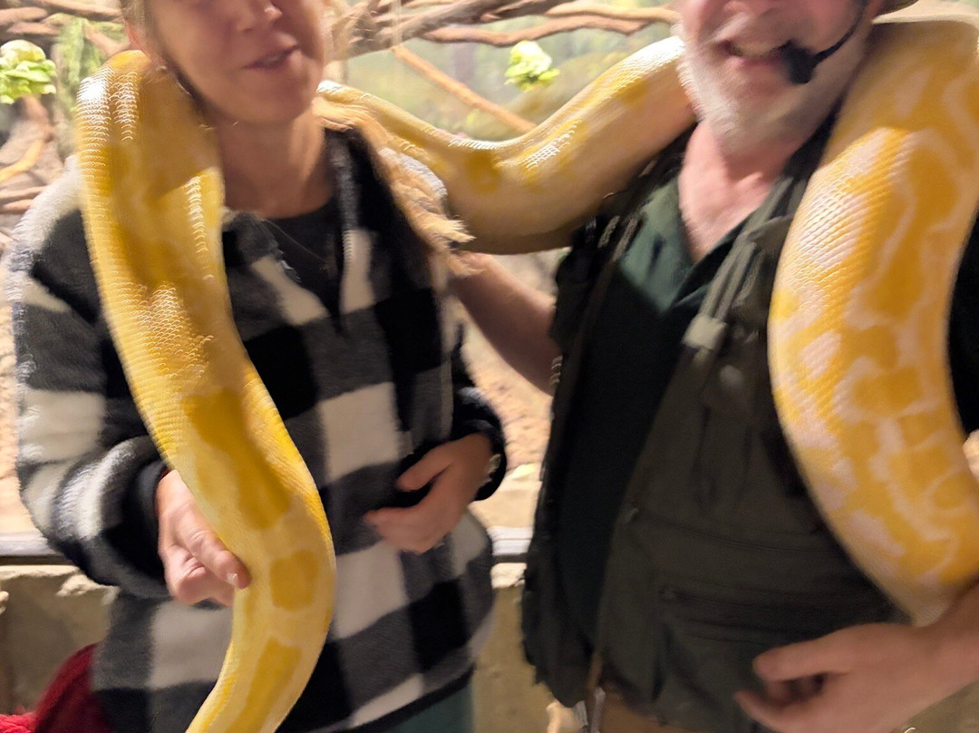 Rainforest Adventures-塞维尔维尔必去景点