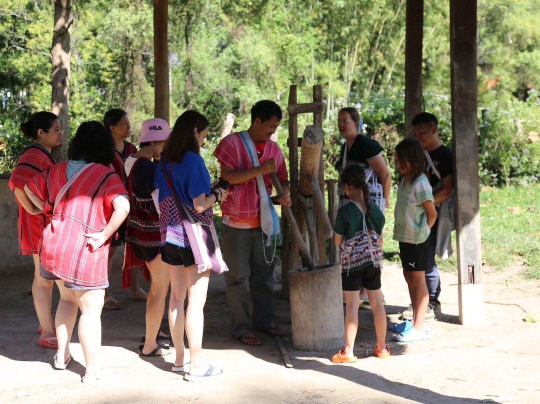 Karen Tribe Native Elephant-清迈必去景点