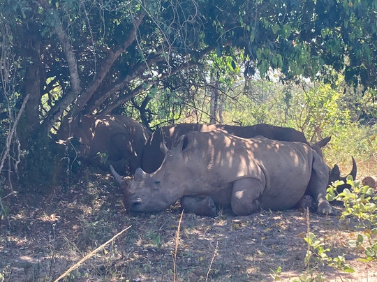 Africa Runners Company-坎帕拉必去景点