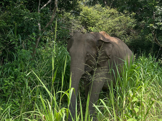 Elee'way Safari Habarana-哈巴拉娜必去景点