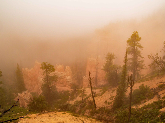 Swamp Canyon-布莱斯峡谷国家公园必去景点