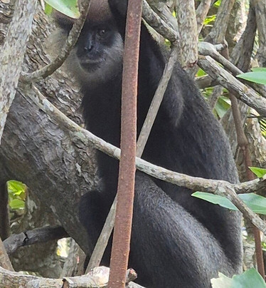 Anawilundawa Wetland Sanctuary-Chilaw必去景点