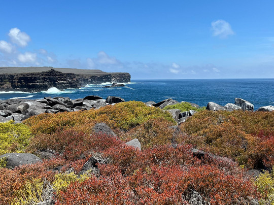 Galapagos by Local Guides-圣克鲁斯必去景点