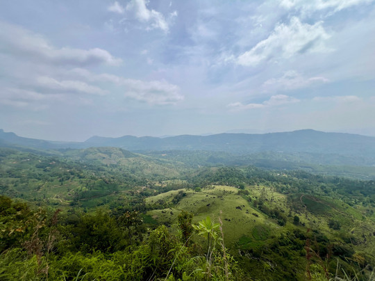 Sinharaja Rainforest Kurulugala Entrance