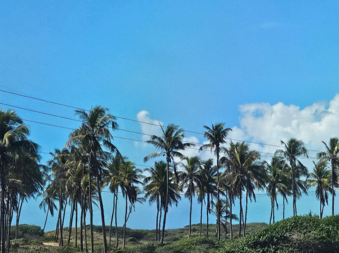 Fran6 Turismo Maceió-Maceio必去景点