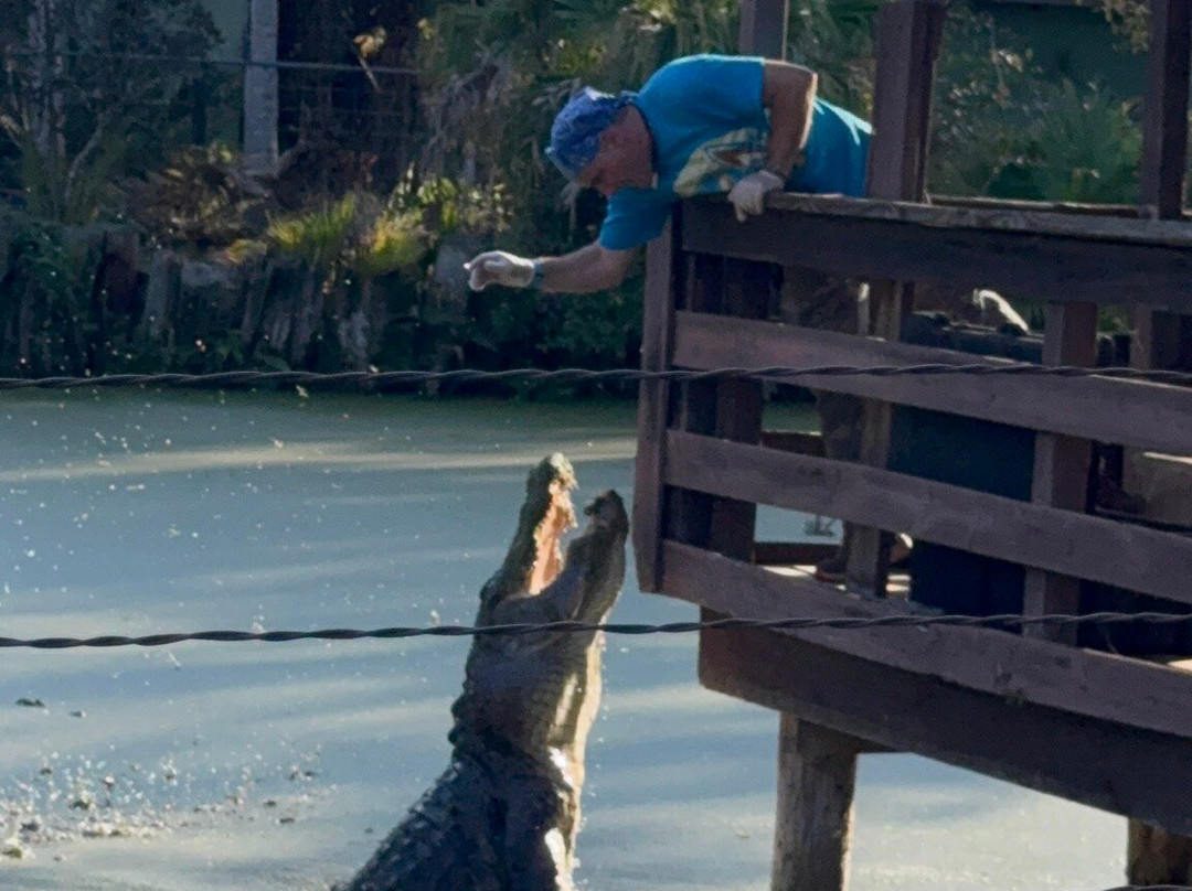 Jungle Adventures A Real Florida Animal Park-Christmas必去景点