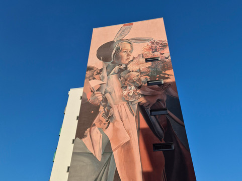 Blind Walls Gallery-布雷达必去景点