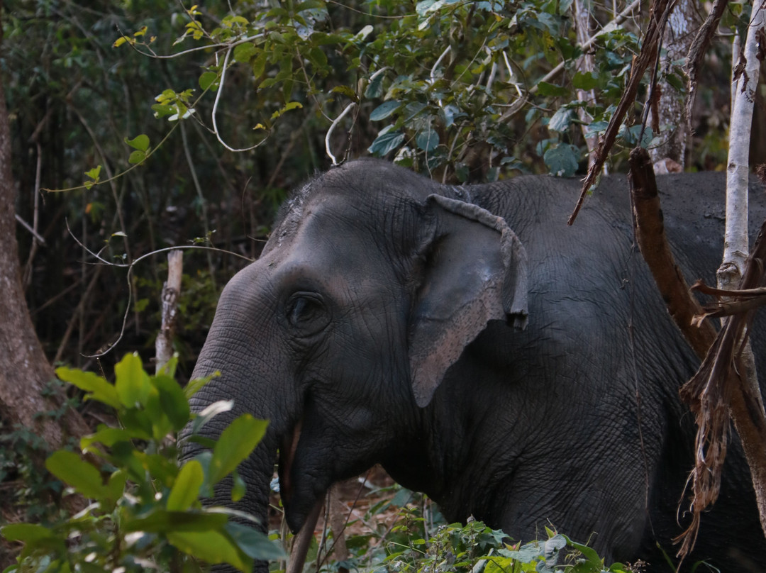 Chang Chill-Mae Win必去景点