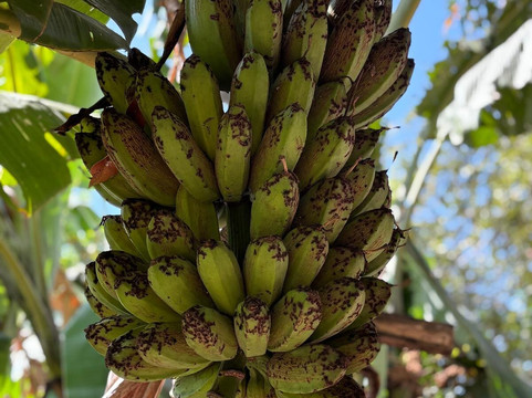 Retire in Panama Tours | Move to Panama | Panama Relocation Experts-波魁特必去景点