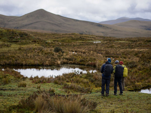 Tierra del Volcan-基多必去景点
