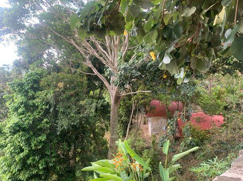 mani gonzalez adventures-La Crucecita必去景点