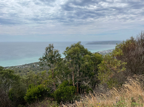 Murrays Lookout-Arthurs Seat必去景点