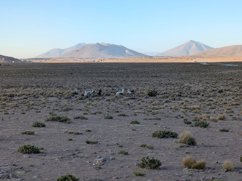 WONDER TOURS, LA PAZ-拉巴斯必去景点