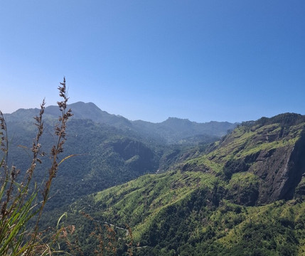 Ceylon Tours with Shiran-尼甘布必去景点