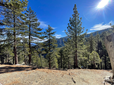 Ice House Canyon Trail-Mount Baldy必去景点