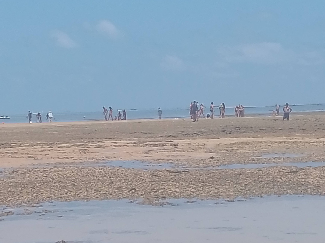 Quality Receptivo-Joao Pessoa必去景点