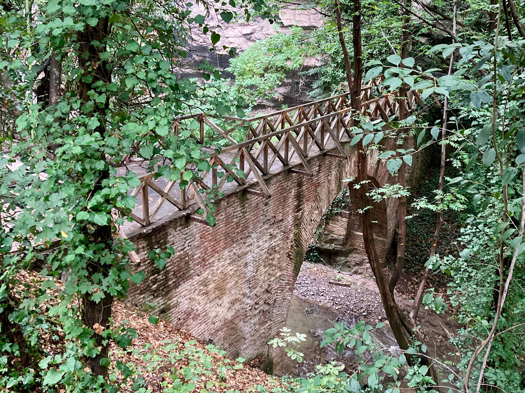 National Botanical Garden of Georgia-第比利斯必去景点