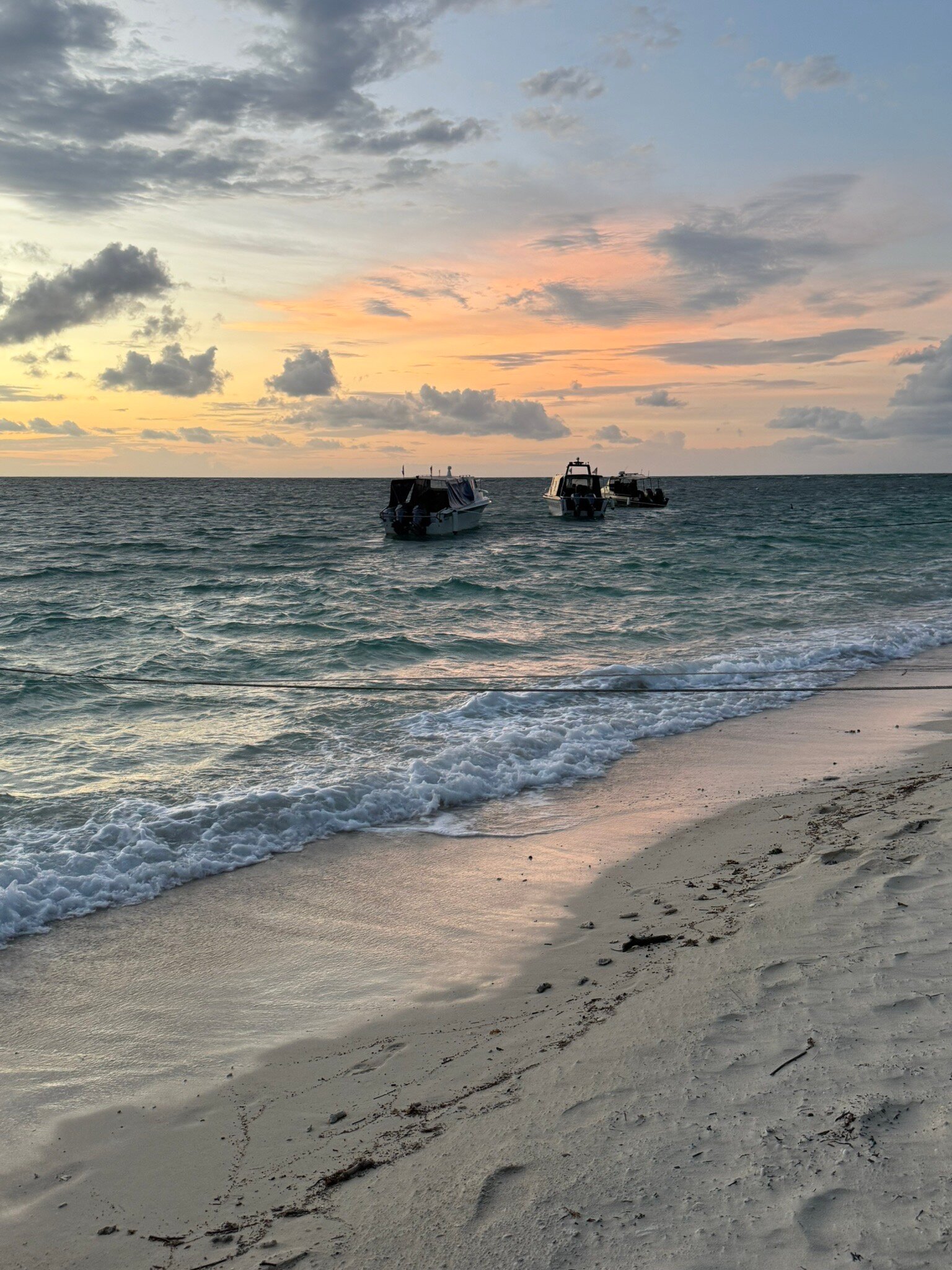 Selingan Turtle Island-官方