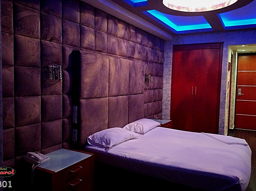 卡罗尔酒店主图