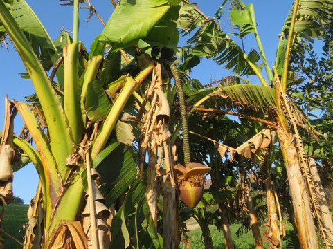 Château Observatoire Abbadia-Hendaye必去景点
