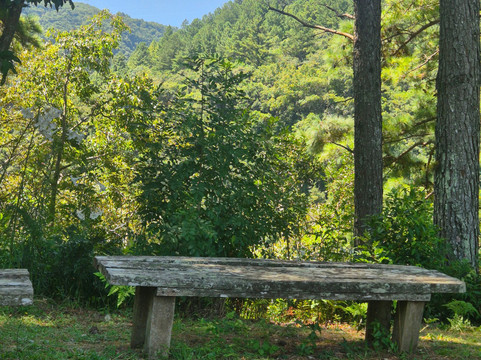 Ecoparque Sperry-卡内拉必去景点