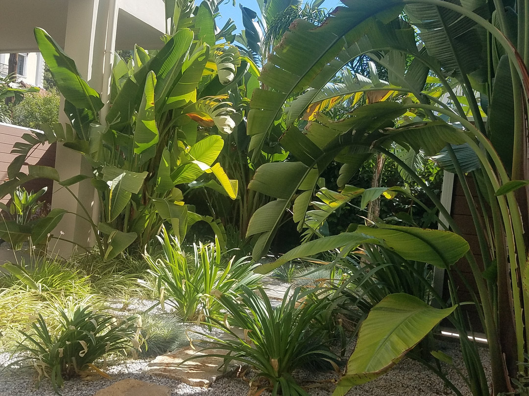 Samos Tropic Apartments