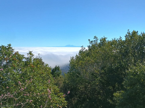 Cubo de la Galga-La Palma必去景点