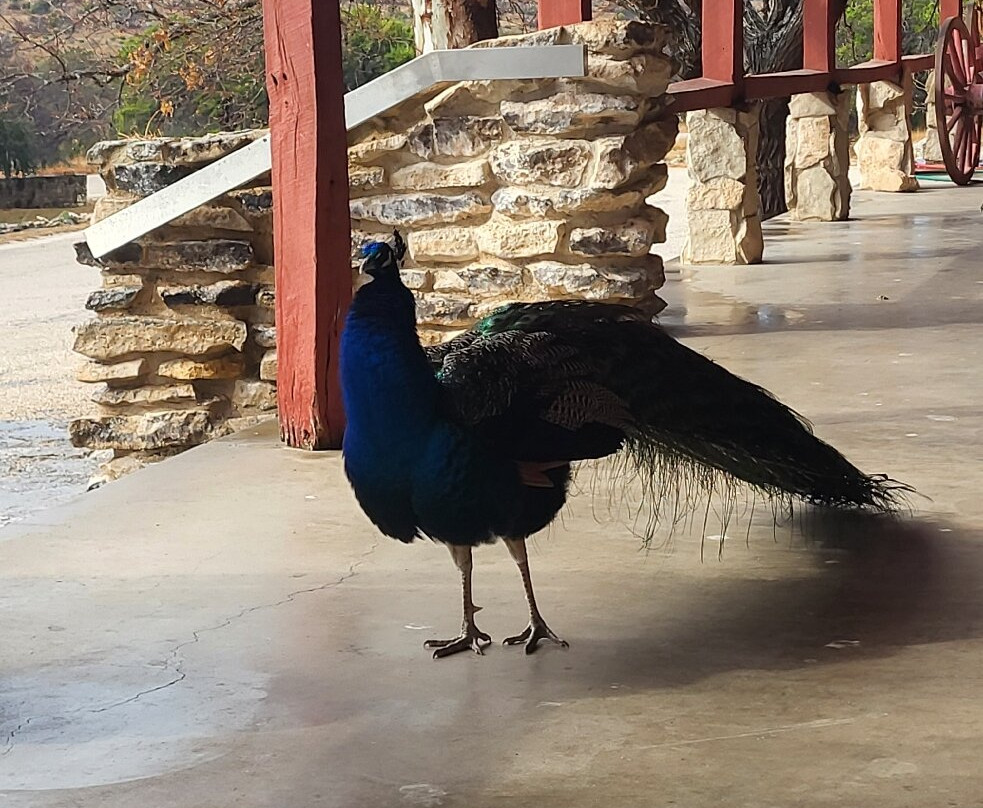 Caverns of Sonora-Sonora必去景点