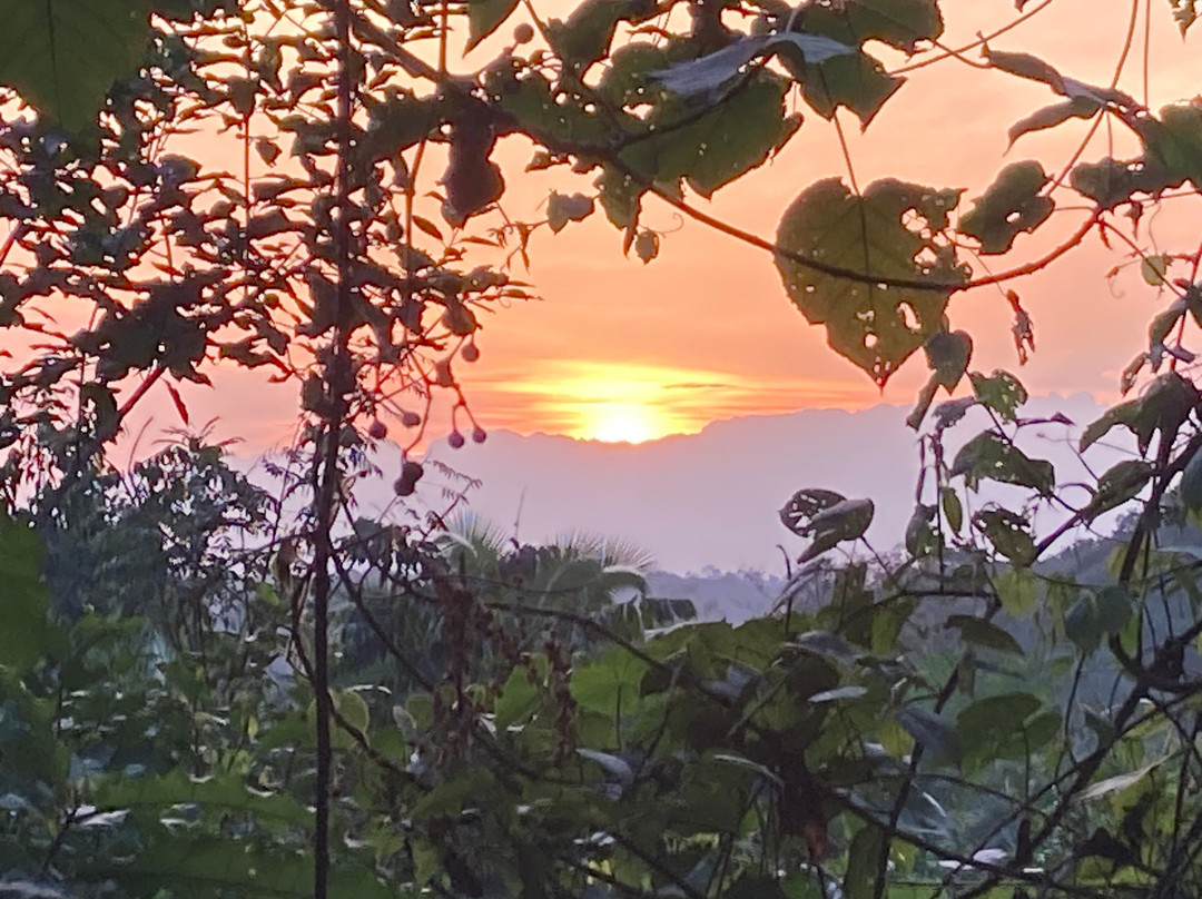 Kazinga Tours - Day Tours-坎帕拉必去景点