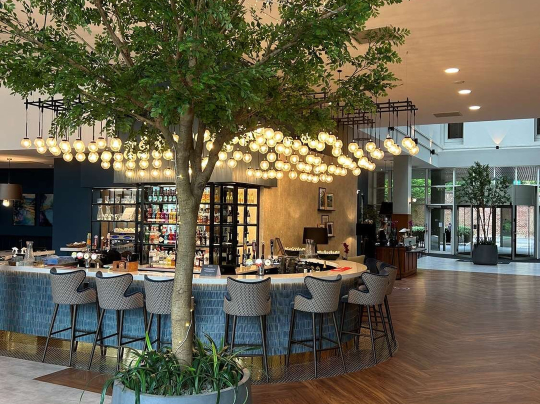 丽笙蓝标酒店-杜伦主图