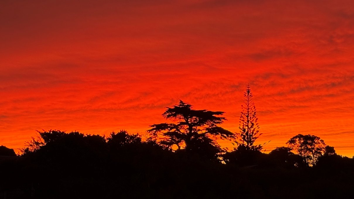 欧冒定居汽车旅馆-酒店景观