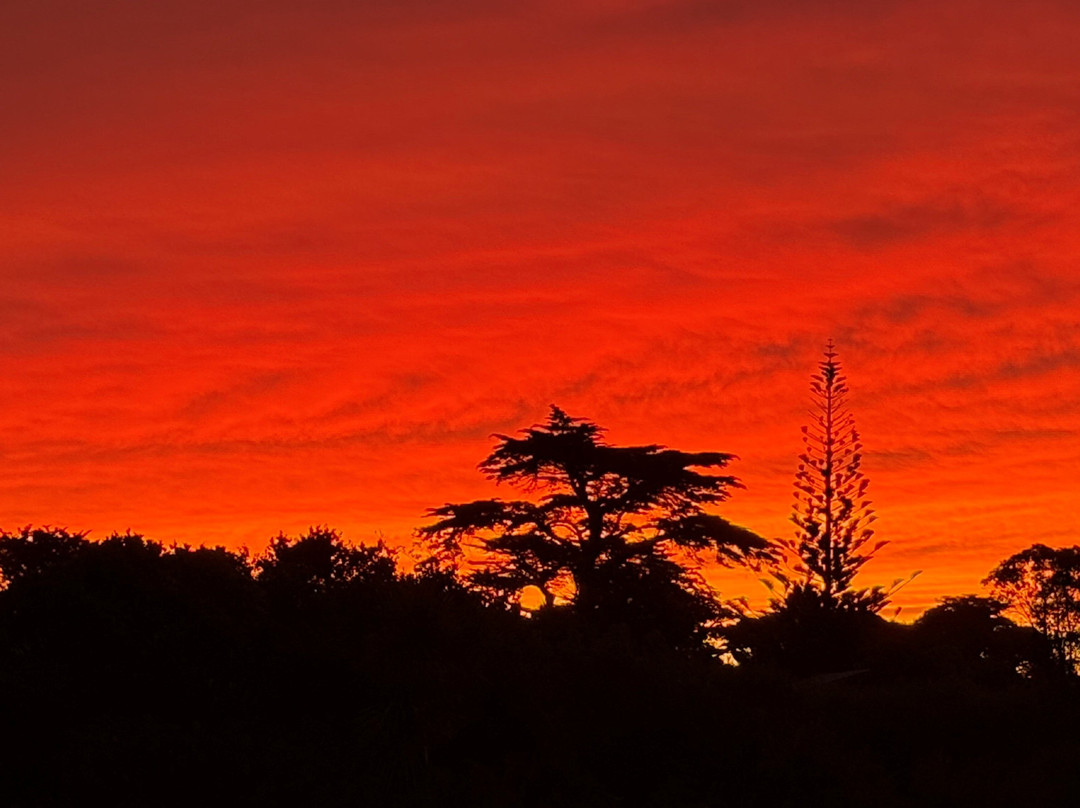 欧冒定居汽车旅馆主图