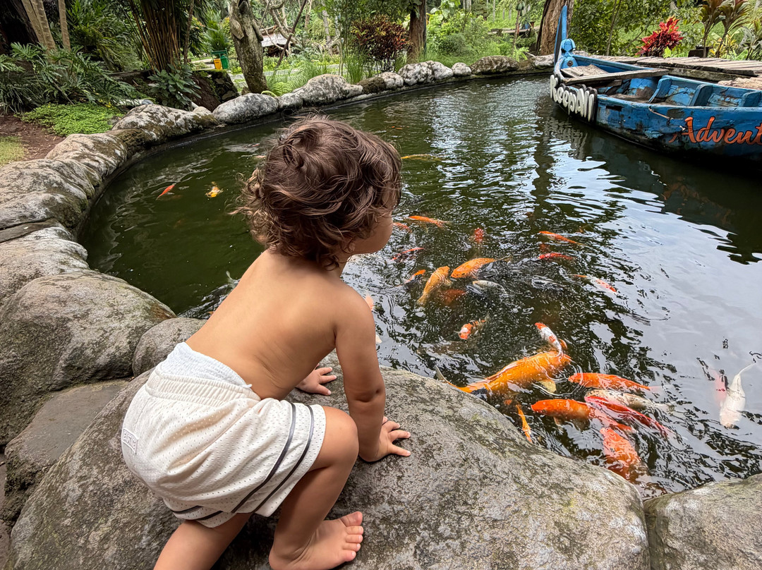 Gede Susila Private Driver-吉安雅必去景点