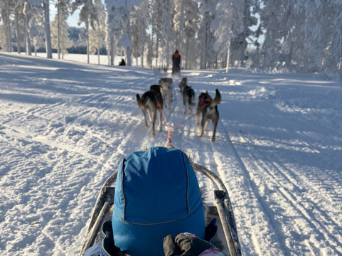 Soulmate Huskies-Pello必去景点