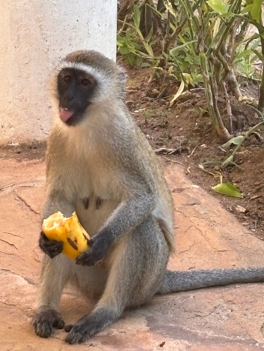 蓝花楹印度洋海滩度假村-浴室