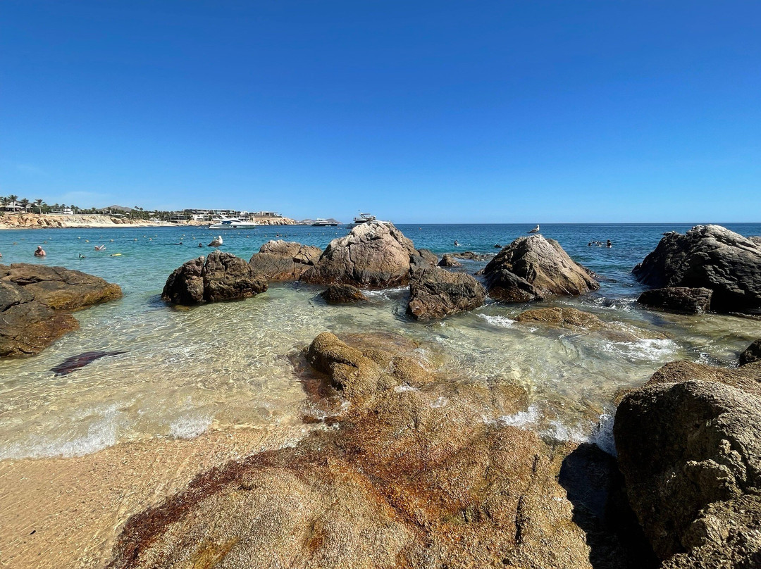 Chileno Bay Los Cabos-卡波圣卢卡斯必去景点