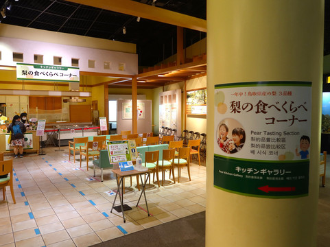 Pear Museum-仓吉市必去景点