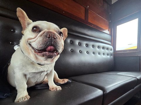 Don River Railway-Devonport必去景点