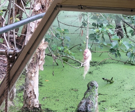 Hartley's Crocodile Adventures-Wangetti必去景点