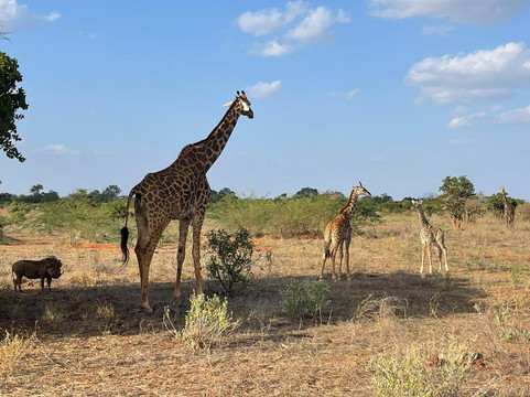 Watamu Diego Safari Day Tours-瓦塔木必去景点