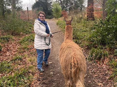 Alpacaly Ever After-Portinscale必去景点