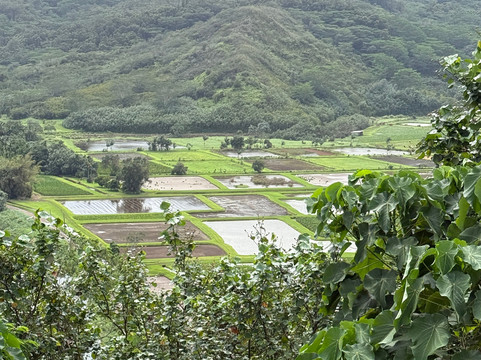 Kauai Luxury Tours-卡拉西奥必去景点