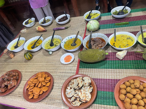 Urlaub Reisen Srilanka-Aluthgama必去景点