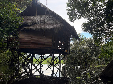 Amazon Jungle Johnny Tours-Puerto Narino必去景点