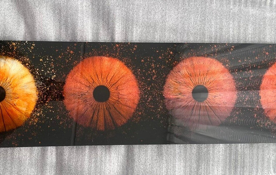 Iris Galerie Groningen-格罗宁根省必去景点