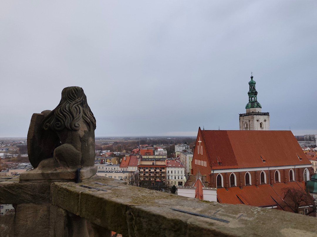 Zamek książęcy w Oleśnicy-Olesnica必去景点