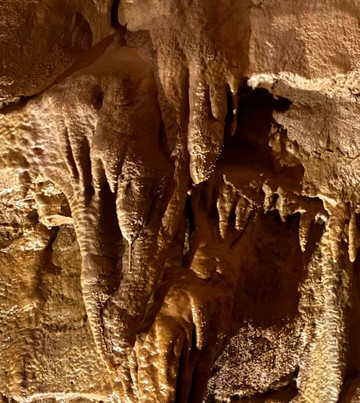 Indiana Caverns-Corydon必去景点
