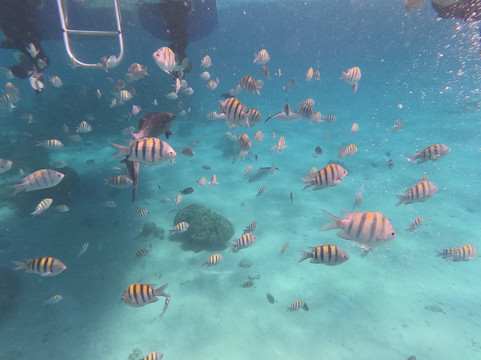 Crazy Crab Private Boat Charters-Camana Bay必去景点