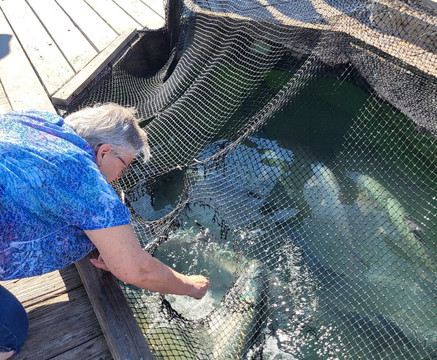 Robbie's of Islamorada-伊斯拉摩拉达必去景点